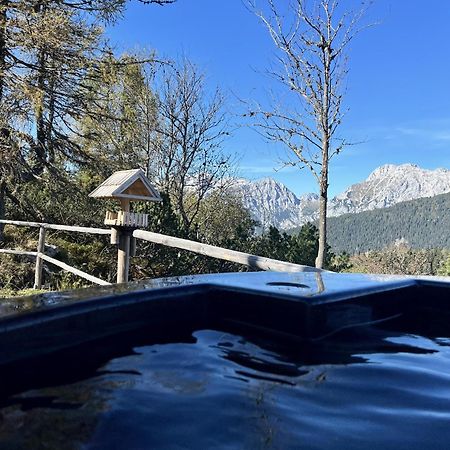 Chalet Orlica Velika Planina Stahovica Exteriör bild