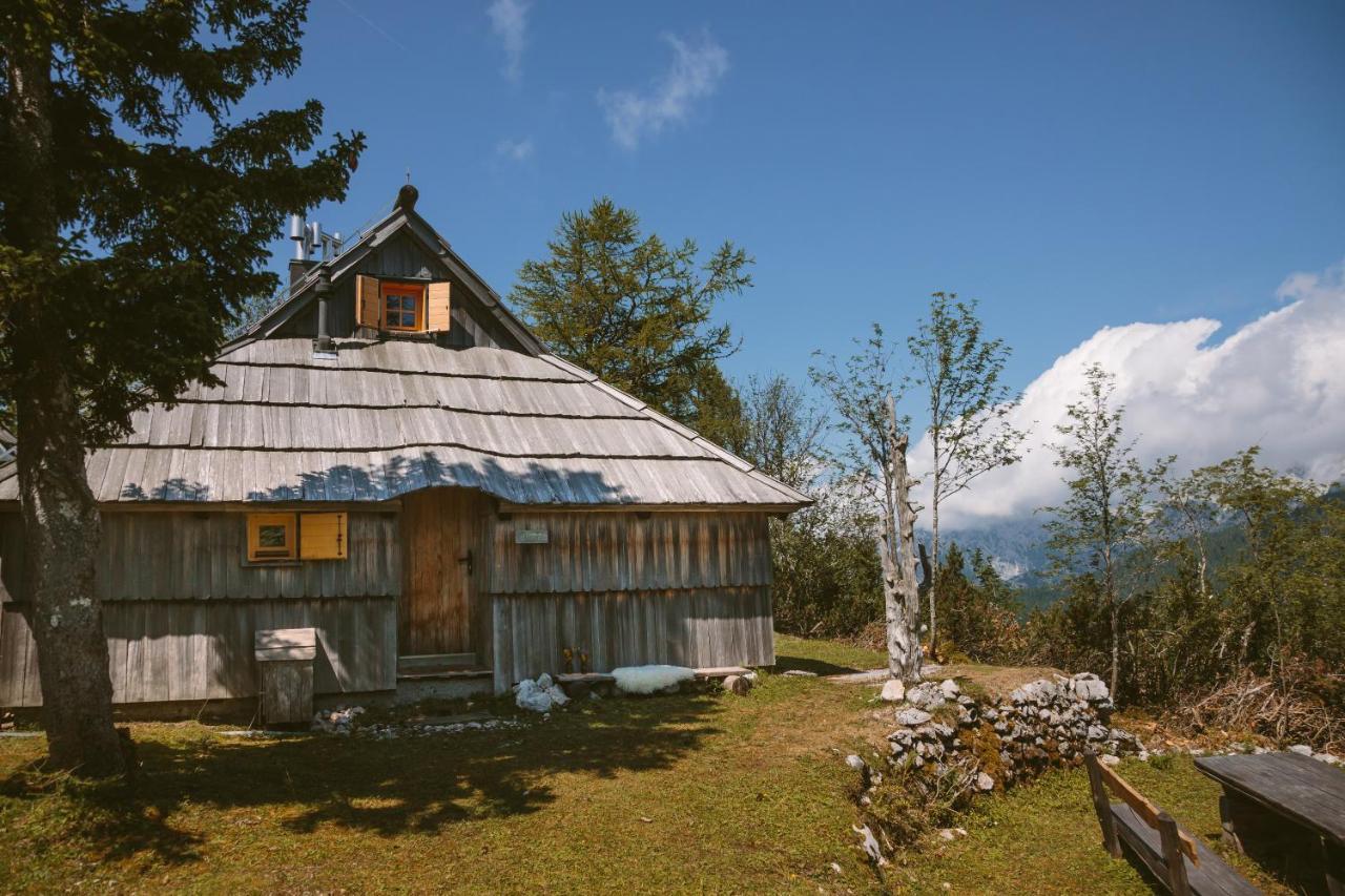 Chalet Orlica Velika Planina Stahovica Exteriör bild