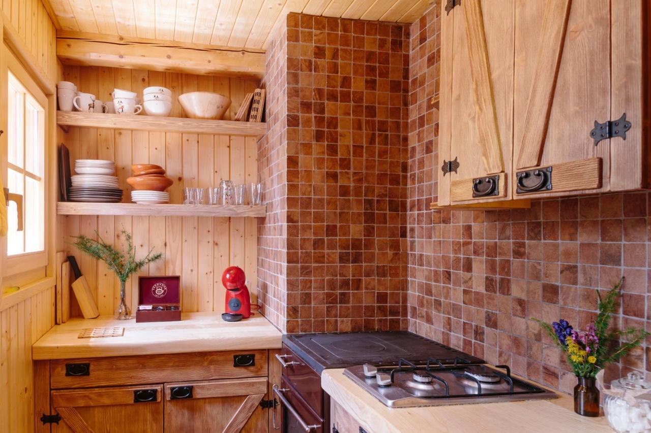 Chalet Orlica Velika Planina Stahovica Exteriör bild