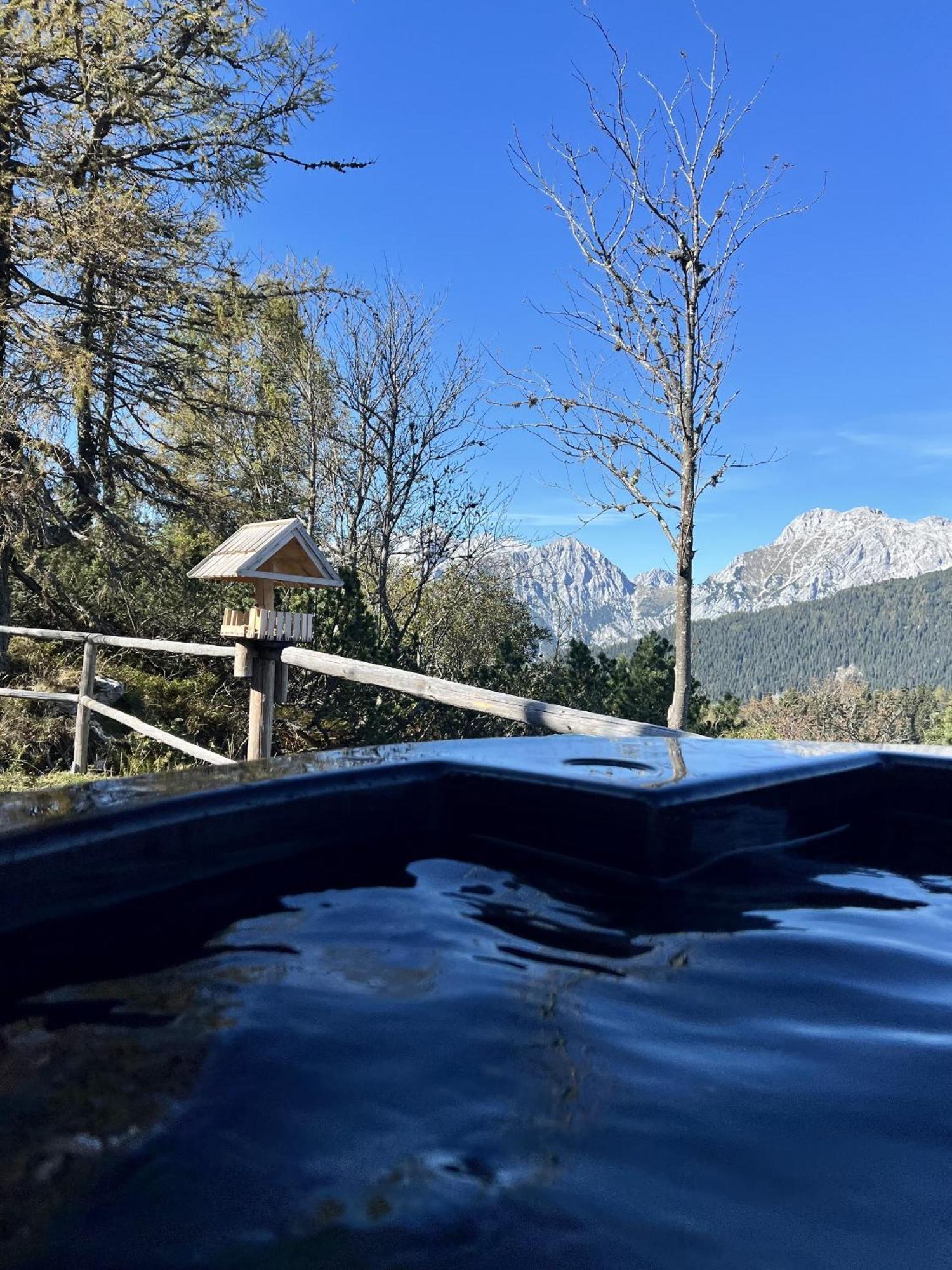 Chalet Orlica Velika Planina Stahovica Exteriör bild